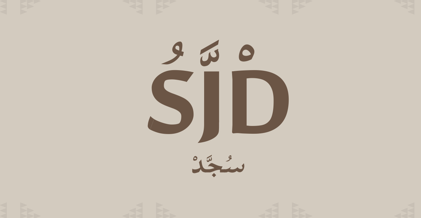 SJD logo